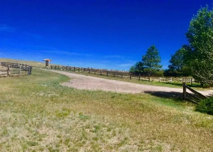 Sundance - Prairie Rose Cheyenne